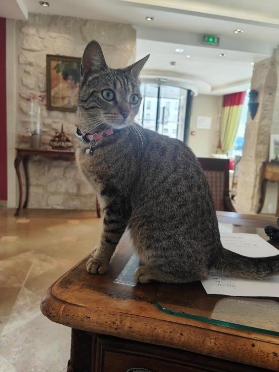 Le Relais Medicis Hotel ปารีส ภายนอก รูปภาพ